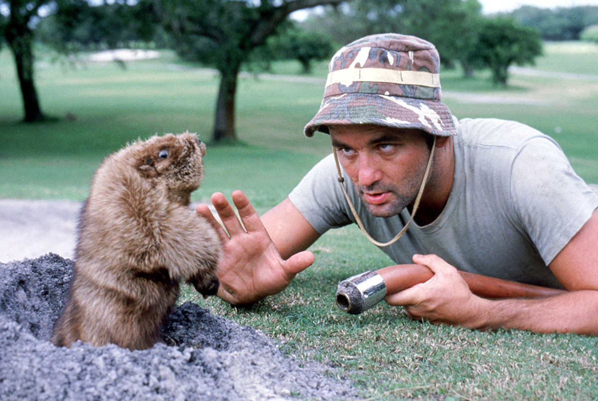CADDYSHACK, Bill Murray, 1980. (c) Warner Bros./ Courtesy: Everett Collection.