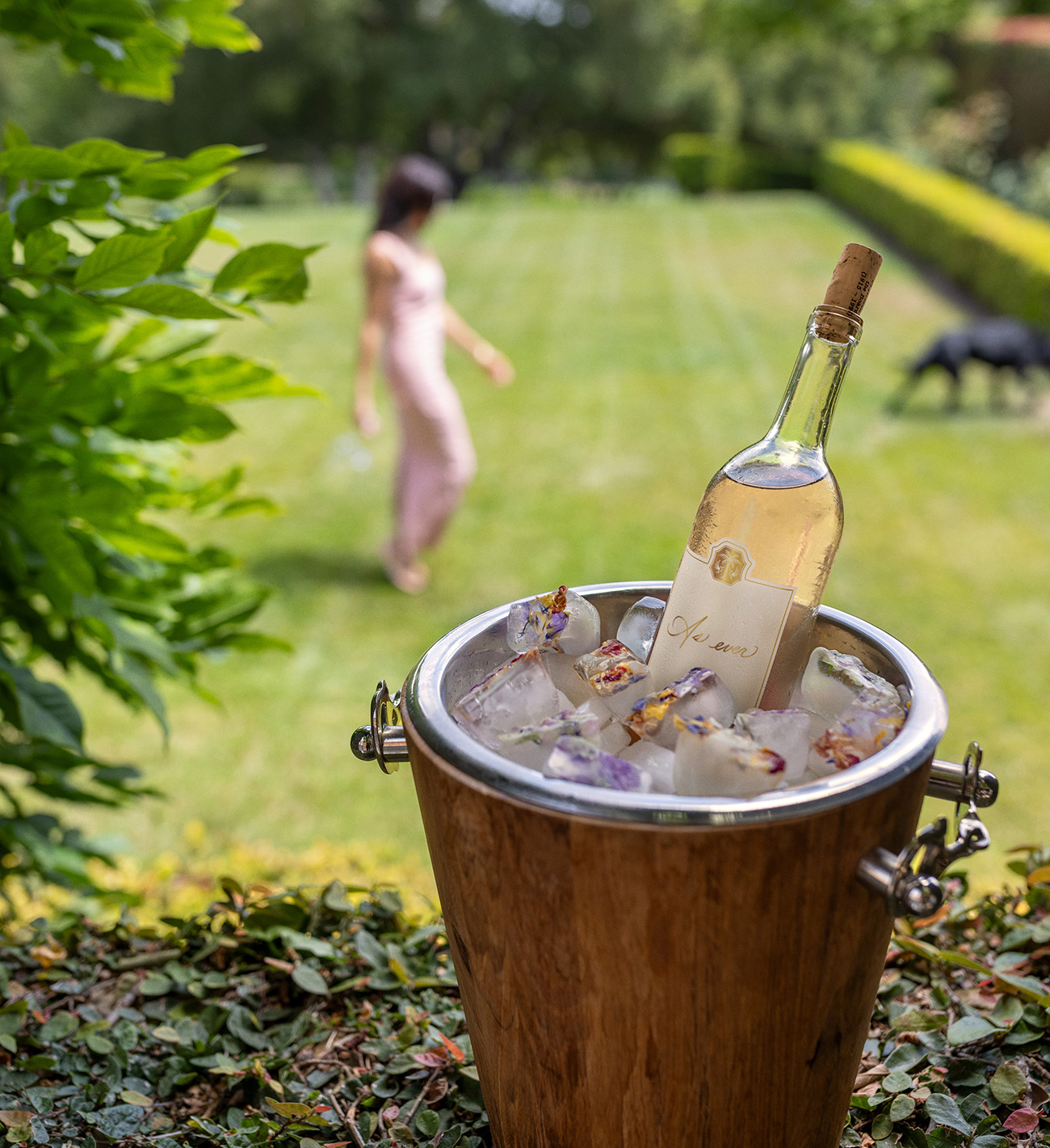 As Ever's 2023 Napa Valley Rosé