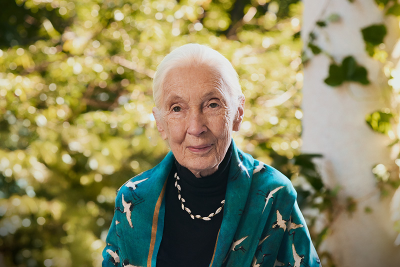 Jane Goodall wears jewelry from her second Brilliant Earth collaboration.