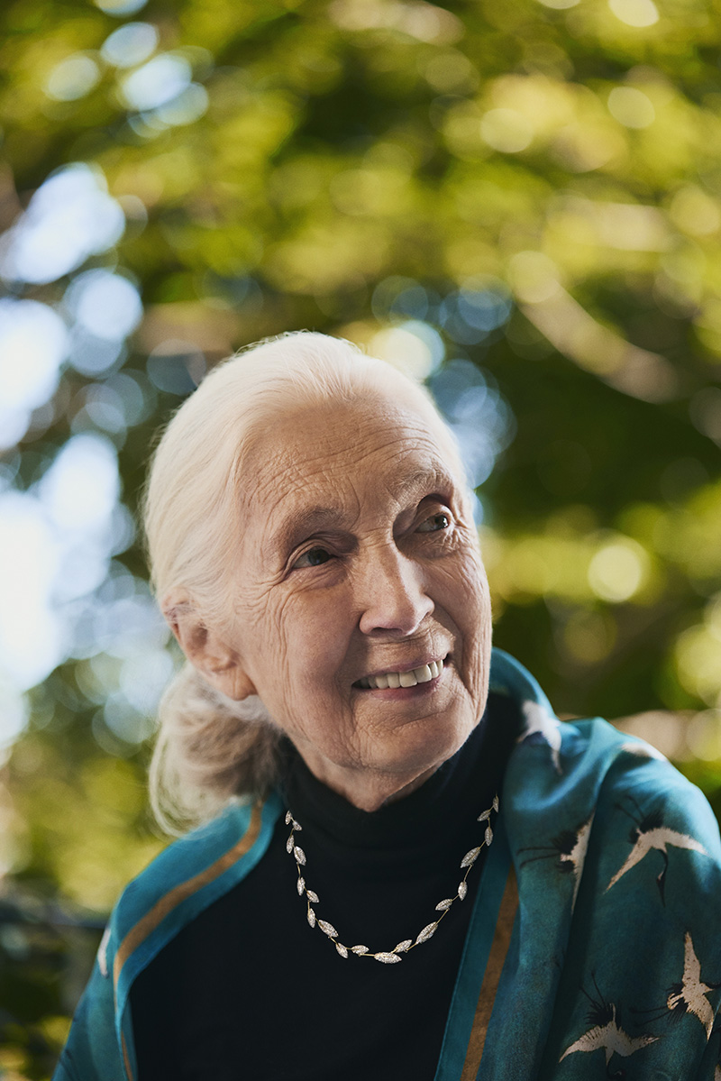 Jane Goodall wears jewelry from her second Brilliant Earth collaboration.