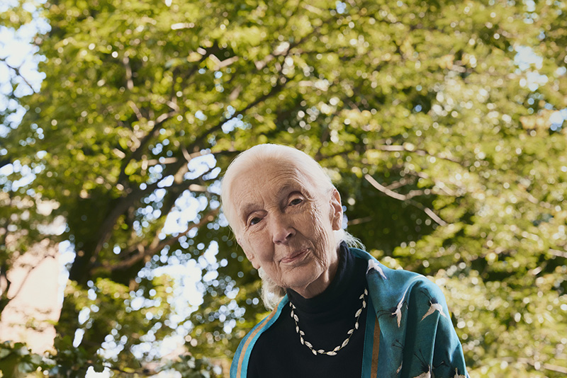 Jane Goodall wears jewelry from her second Brilliant Earth collaboration.