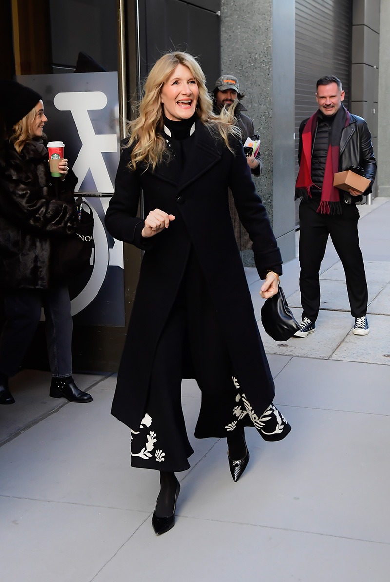 Laura Dern wears Loro Piana seen on Jan. 12 in New York City.