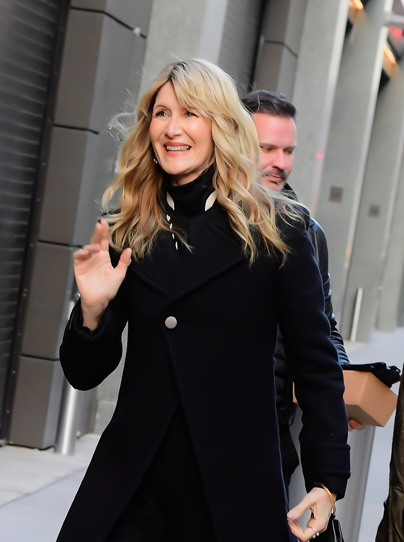 Laura Dern wears Loro Piana seen on Jan. 12 in New York City.