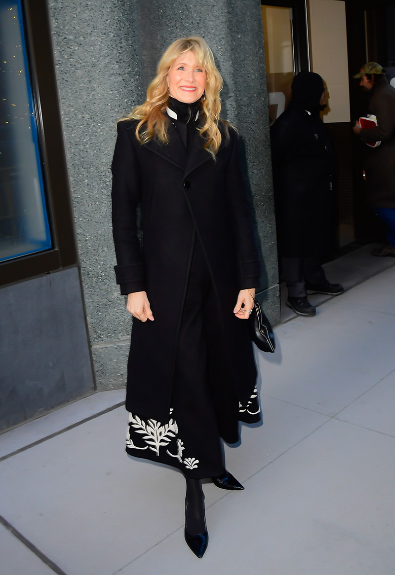 Laura Dern wears Loro Piana seen on Jan. 12 in New York City.
