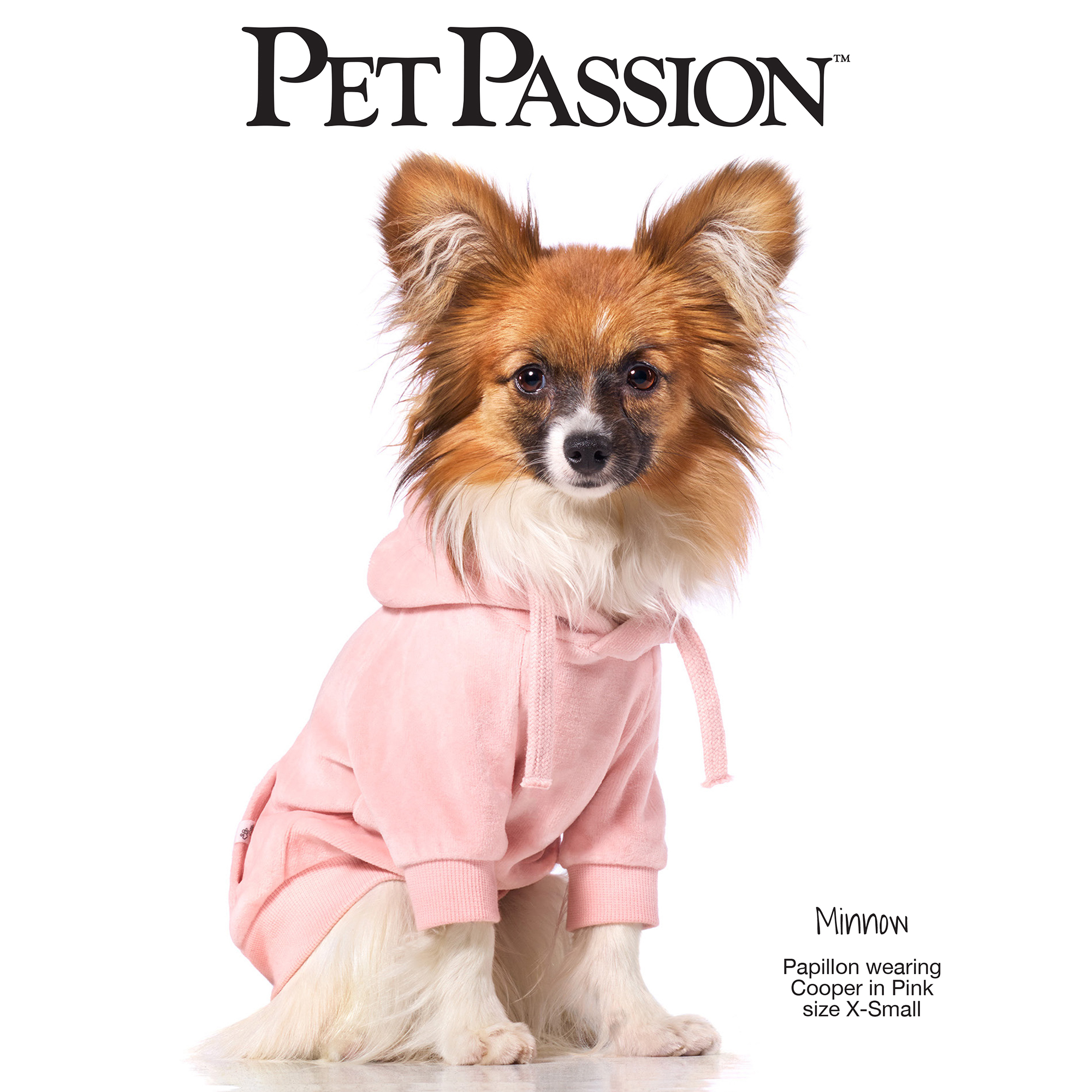 pet passion dog fashion brand
