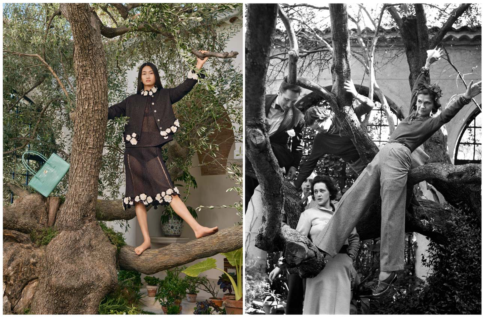 Chanel's spring 2026 campaign, and Coco Chanel with friends posing in an olive tree at La Pausa